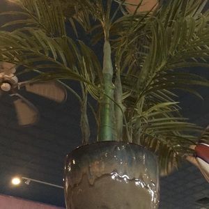 Meet your Posher, Jane